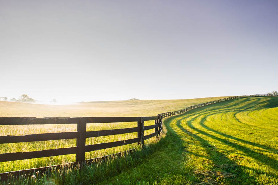 About Our Agency - Kentucky Horse Farm at Sunrise with a Wooden Fence