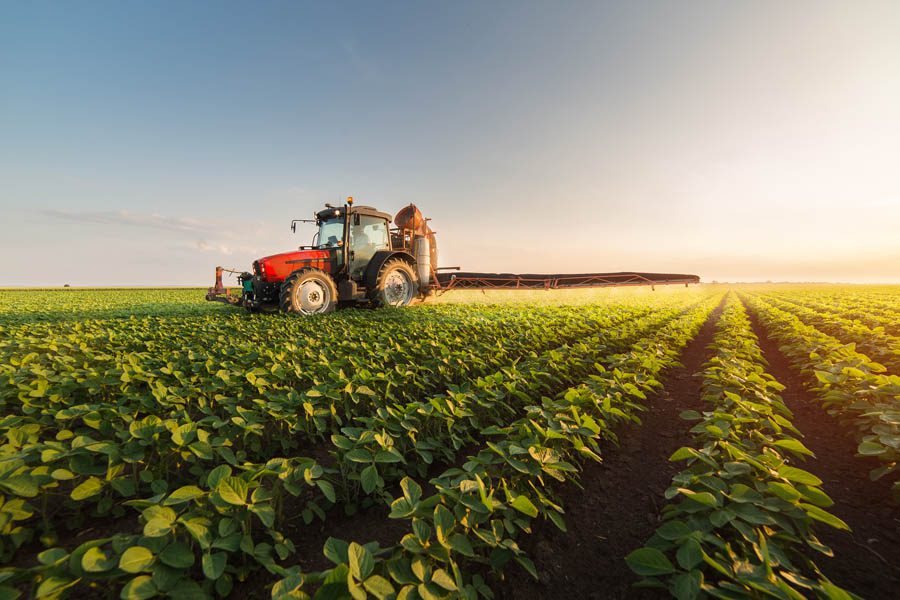 Business Industry Specialties - Farmer Tending to Soybeans in the Summertime at Sunrise